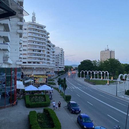 Studio Panoramic With Balcony And Parcul Unirii View Alba Iulia Exteriör bild