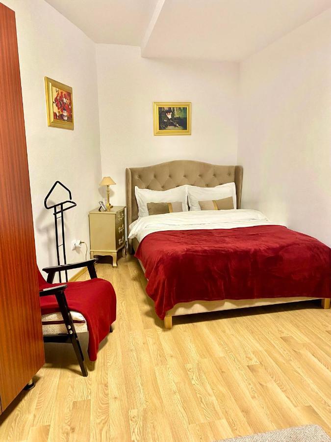 Studio Panoramic With Balcony And Parcul Unirii View Alba Iulia Exteriör bild