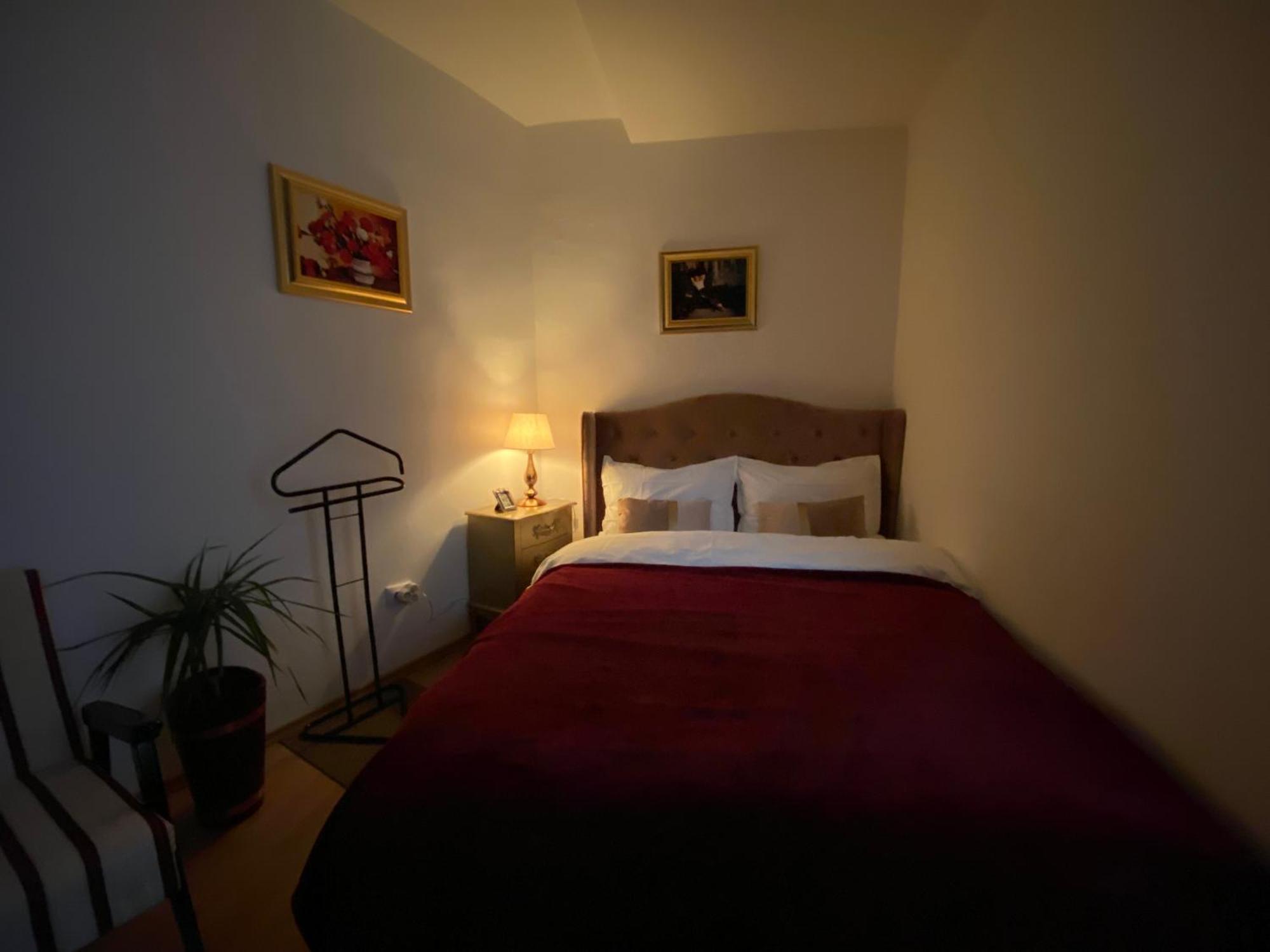 Studio Panoramic With Balcony And Parcul Unirii View Alba Iulia Exteriör bild